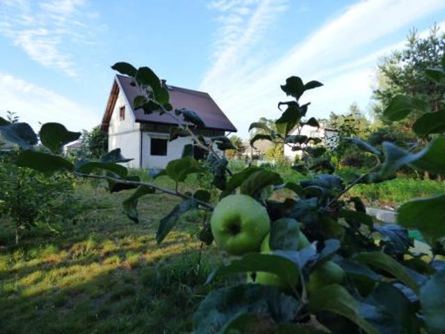 Bezpośrednio, Górki Grubaki, 100 m² Dom