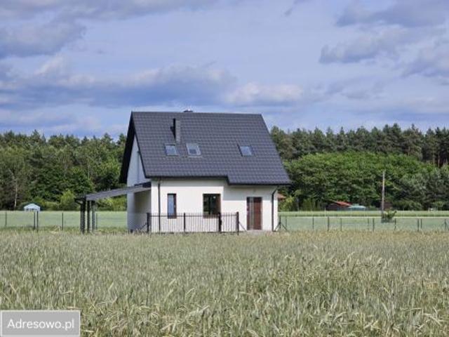 Bezpośrednio, Królewo, 90 m² Dom