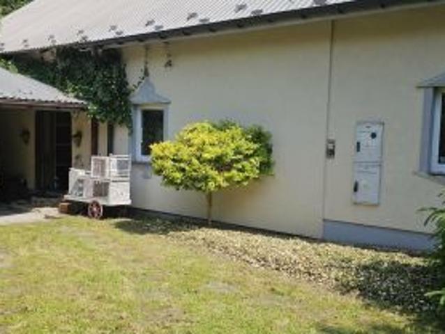 Bezpośrednio, Haczów, 180 m² Dom