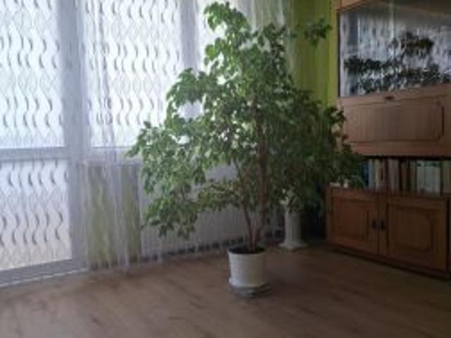 Bezpośrednio, Hajnówka, ul. Lipowa, 60 m² Mieszkanie