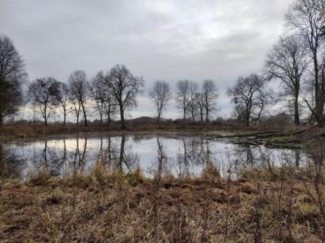 Bezpośrednio, Lubocheń, 844 m² Dom