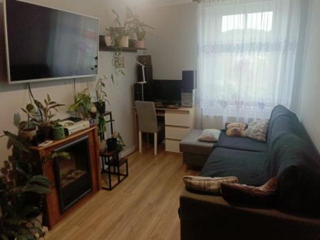 Bezpośrednio, Marciszów, ul. Główna, 36 m² Mieszkanie