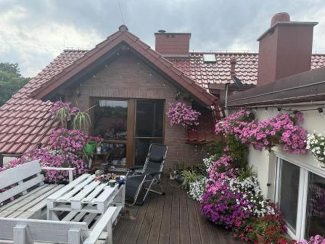 Bezpośrednio, Niedaszów, 450 m² Dom