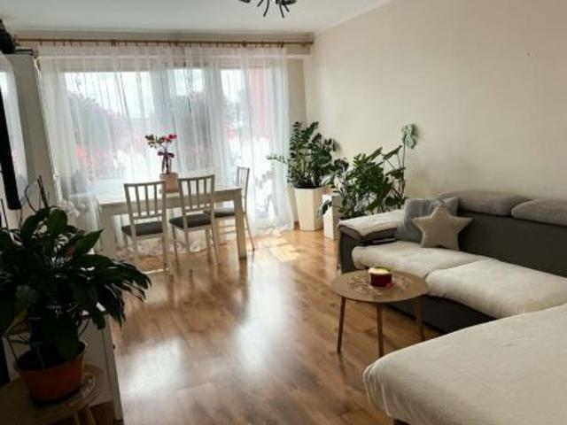 Bezpośrednio, Skarpa, 65 m² Mieszkanie