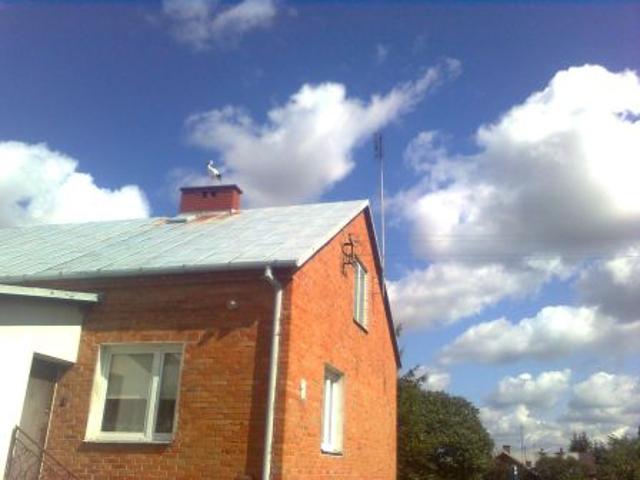 Bezpośrednio, Węgrzynowo, 200 m² Dom