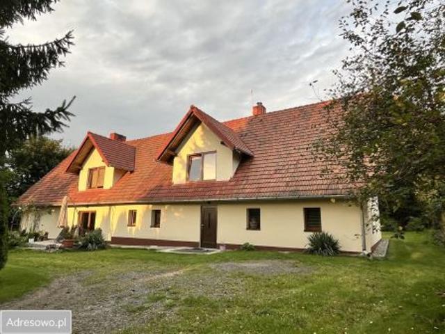 Bezpośrednio, Świecie, 300 m² Dom