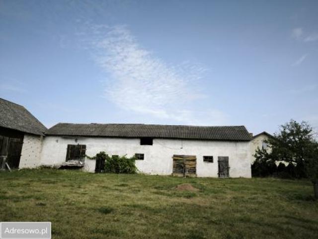 Bezpośrednio, Taras, 100 m² Dom