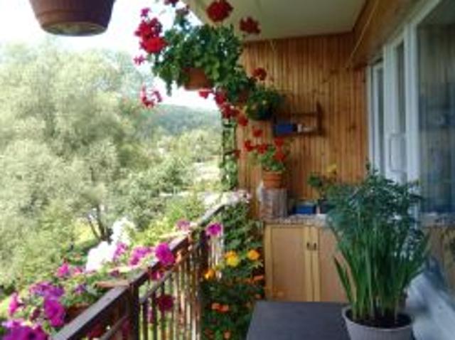 Bezpośrednio, Ustrzyki Dolne, ul. PCK, 63 m² Mieszkanie