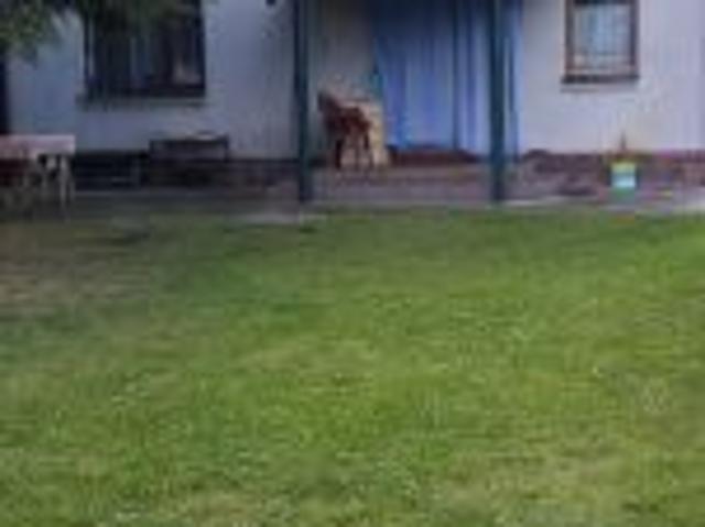 Bezpośrednio, Zaława, 128 m² Dom