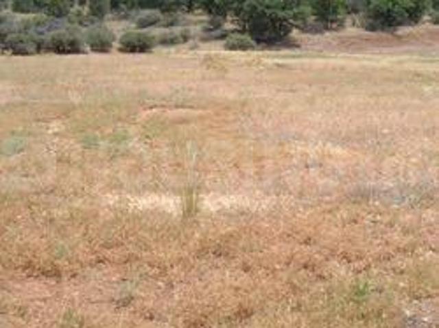Bhuvanagiri Residential Plot For Sale Yadadri Bhuvanagiri