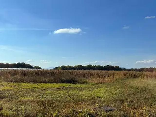 Bindernheim 67600 Programme neuf maison neuf à vendre 5 pièces