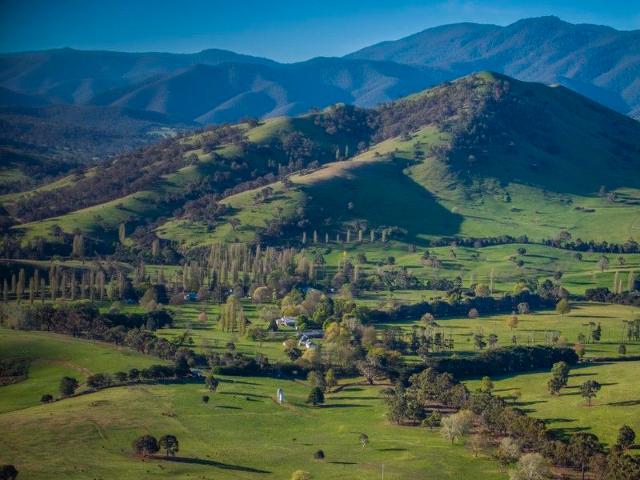 'Bindi Station' and 'Holston's'