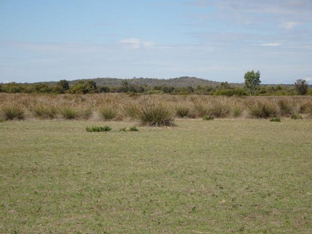 Biodiversity and Recreational Haven