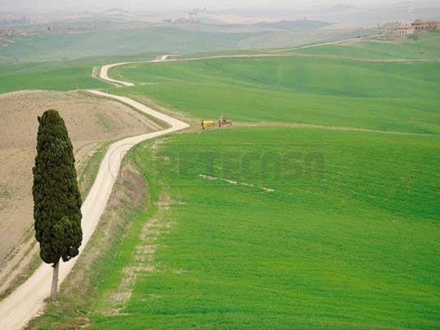 Bicamere+mansarda Siena