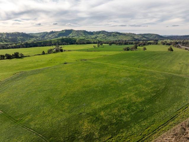 Bidgee Flats Production Perfection Performance