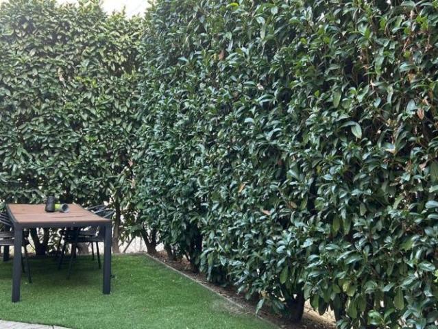 Bien unique: jardin privé en plein centre