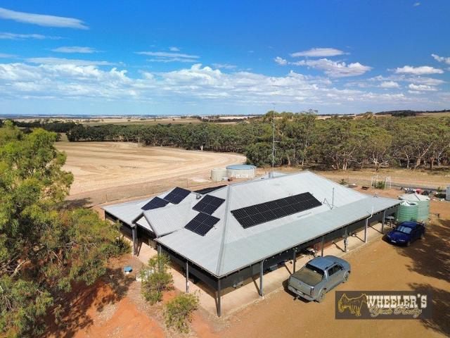 Big 4x2 Homestead on 6 Acres Amongst Picturesque Farmland