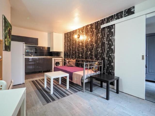 Big and beautiful apartment near the Louvre, Paris Amsterdam Apartments for Rent