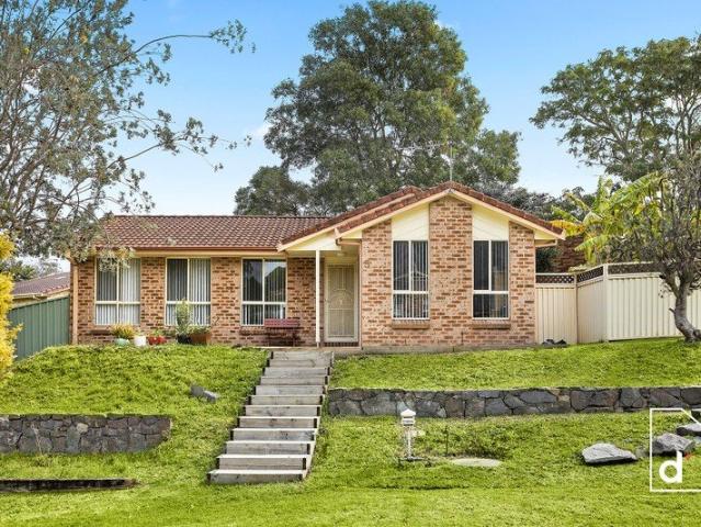 Big Backyard, Bright Future