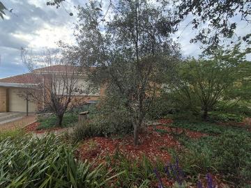 Cotter River, Jembaicumbene - Garden, Equipped kitchen