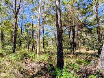 Bribie Island, Woorim, Moreton Bay Regional, Queensland
