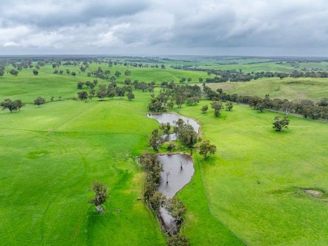 Big Dams, New Fencing, Strong Grazing