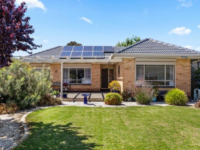 Big Family Flexibility with a Backyard Full of Surprises