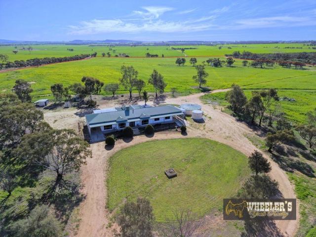 Big Family Home on 102.5 Acres!