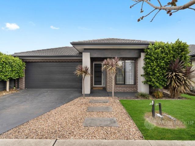 Big on Space, Flexibility & Family Fun!