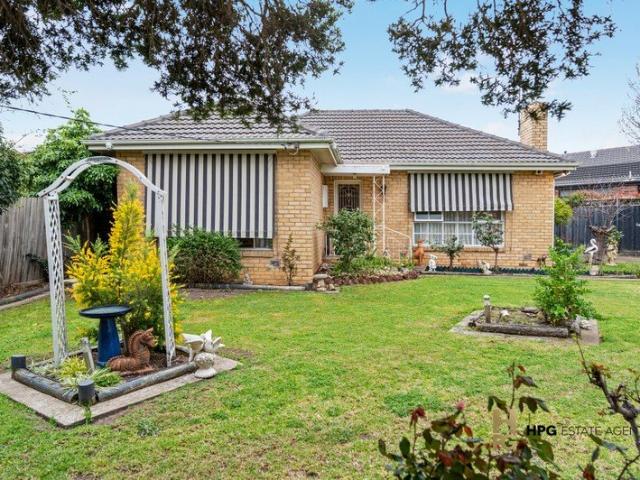 Big Land. Wide Frontage. Endless Possibilities