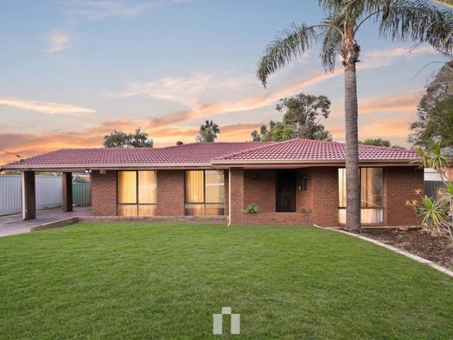 Big Living, Big Backyard & Future Potential
