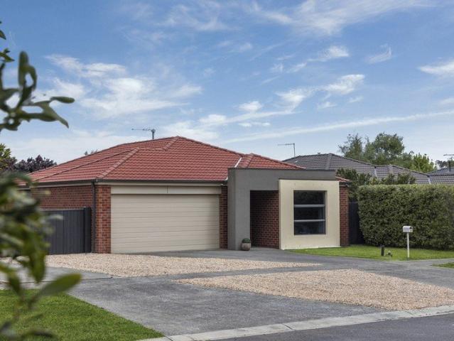 Big Shed, Brilliant Entertaining, Easy Living