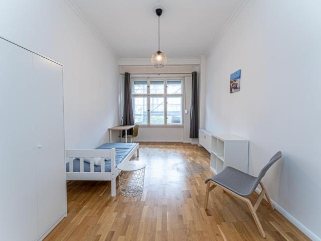 Big single bedroom in a 4 bedroom flat, in Prenzlauer Berg