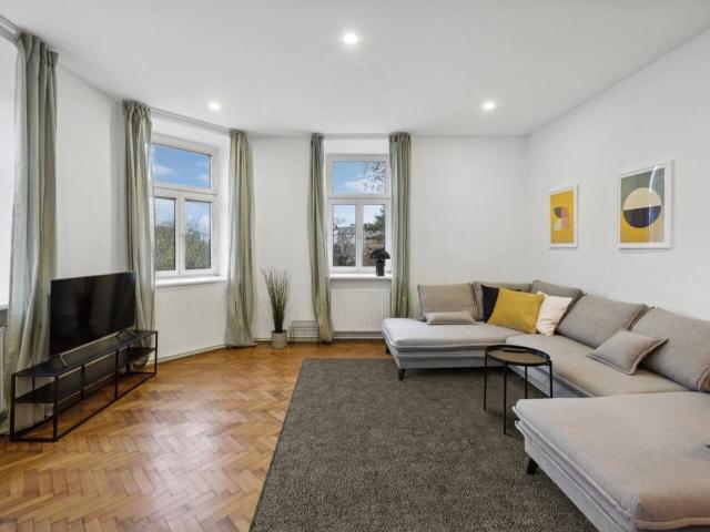 Big spacious central apartment in Vienna