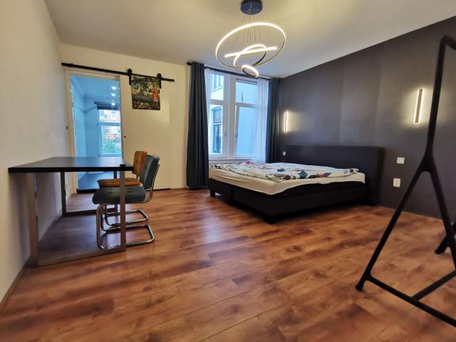 Big studio in de Pijp+allowance
