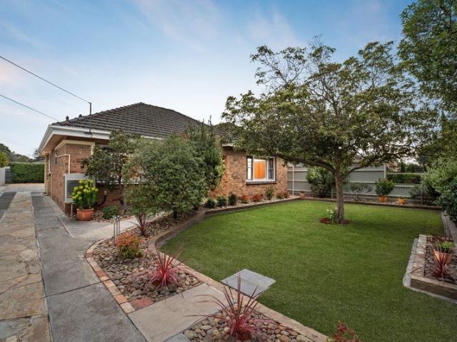 Big Proportions, Rare Garage Appeal