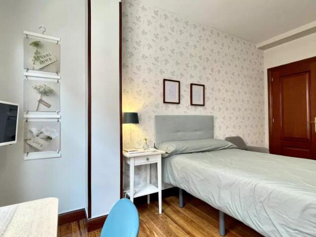 Big room in 5 bedroom apartment, Abando