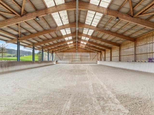 Bijou Reitsportimmobilie mit Reithalle und Wohnhaus
