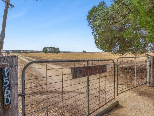 BILGA WHERE ACREAGE MEETS THE COAST!