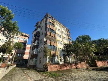 Dallıca, Bartın, Bartın, Bartın ili, Karadeniz Bölgesi