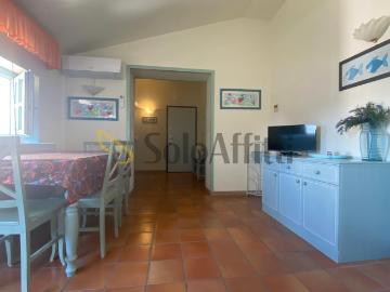 bilocale 50mq