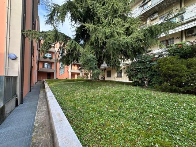 bilocale 50mq