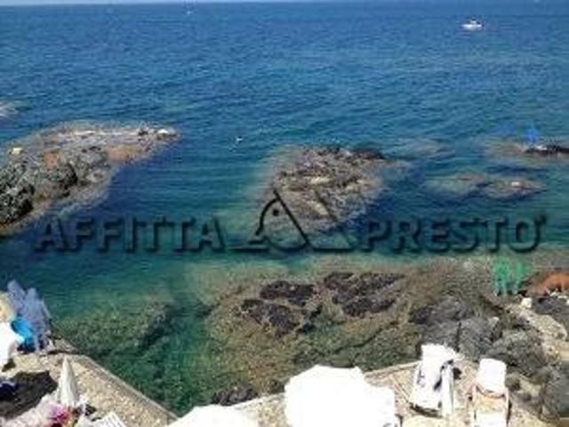 Bilocale 30 mq ï¿½ 2.500 affitto a rosignano marittimo via aurelia