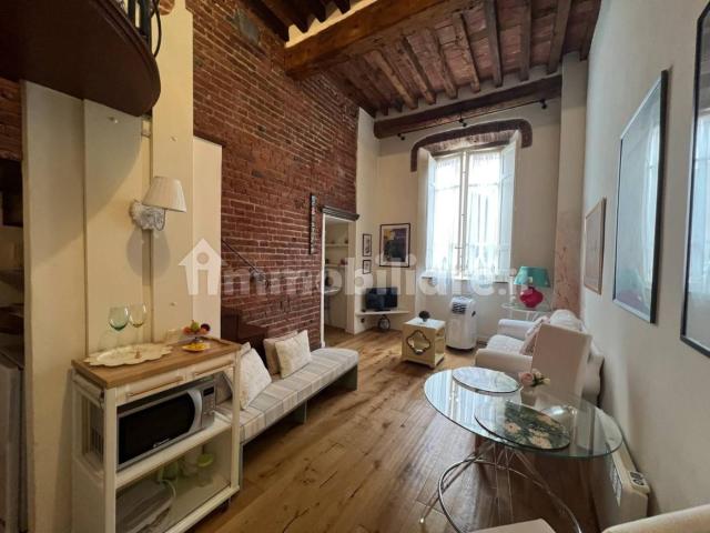 Bilocale via dei Servi, 13, Piazza Anfiteatro Torre Guinigi, Lucca