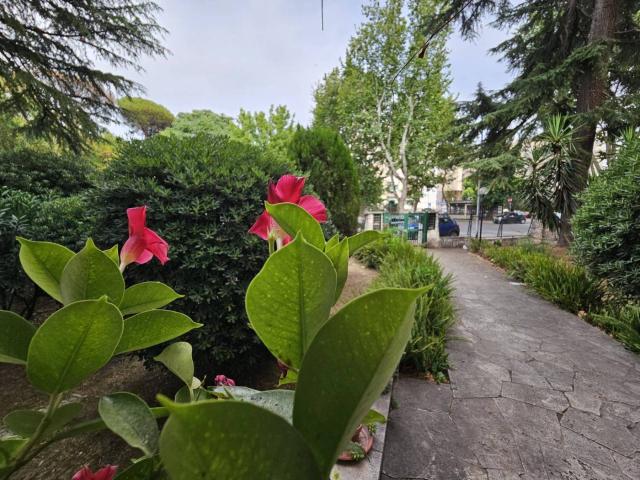 Bilocale via della Villa di Lucina 65, Garbatella, Roma