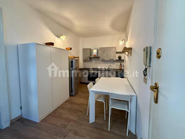 Bilocale via Nizza 71, San Salvario Dante, Torino
