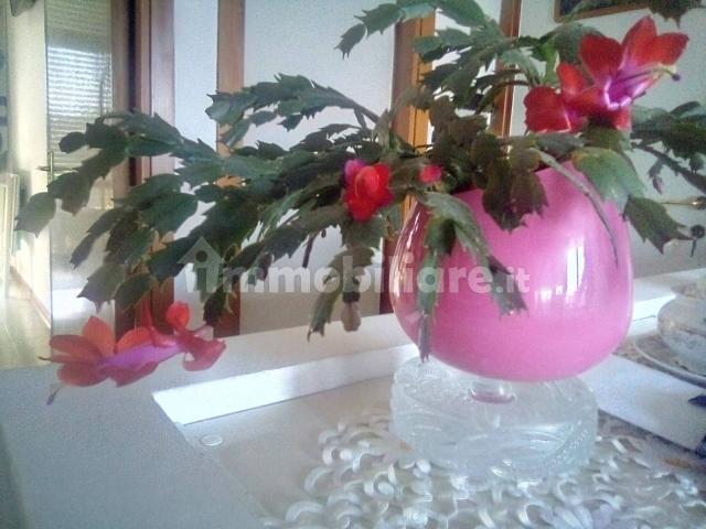 Bilocale viale 4 Novembre 188, Civitanova Nord, San Gabriele, Fontespina, Civitanova Marche