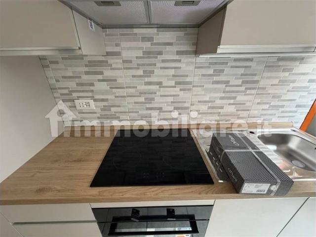 Bilocale viale Buridani 51, Venaria Reale