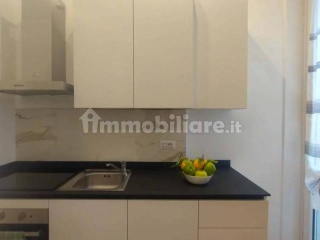 Bilocale viale Giovanni Suzzani, Bignami Ponale, Milano