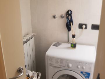 BILOCALE AFFITTO